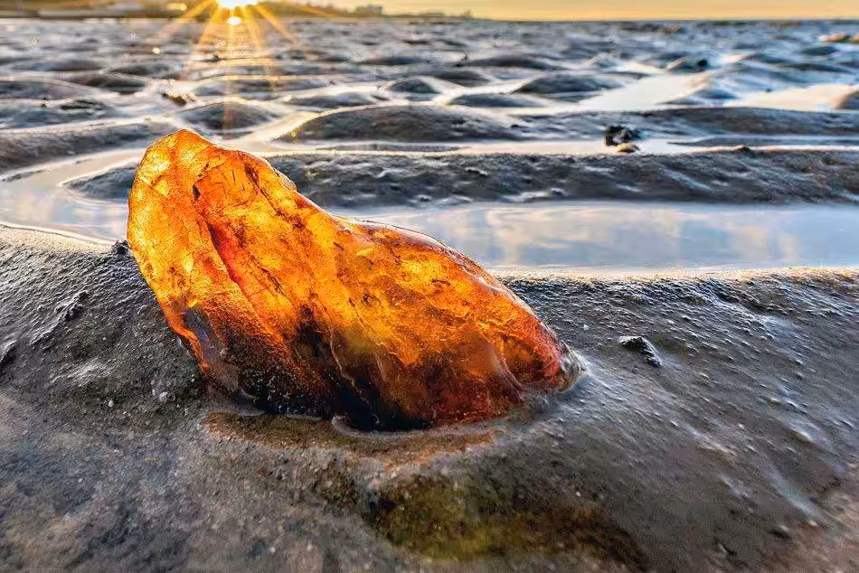 Walking Along The Little Bird's Sand, You Can Admire The Beauty Of Amber In All Its Facets.