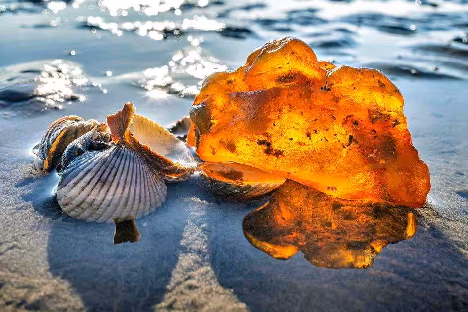 Das Watt Am Kleinen Vogelsand Ist Eine Wahre Schatzkammer Für Bernsteinliebhaber.