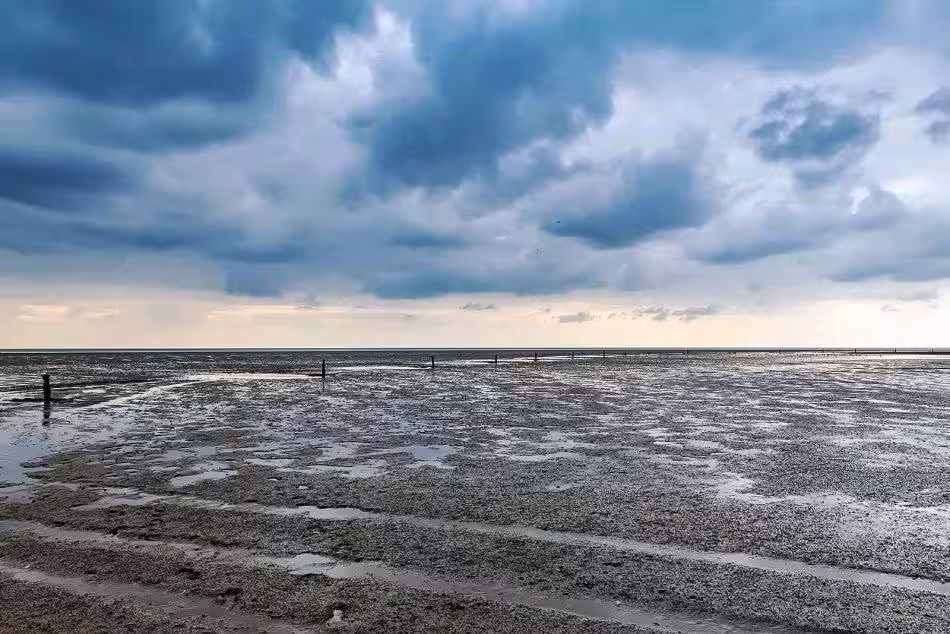A Prickly Path Leads Through The Mudflats Under Dramatic, Dark Clouds That Create A Special Atmosphere.