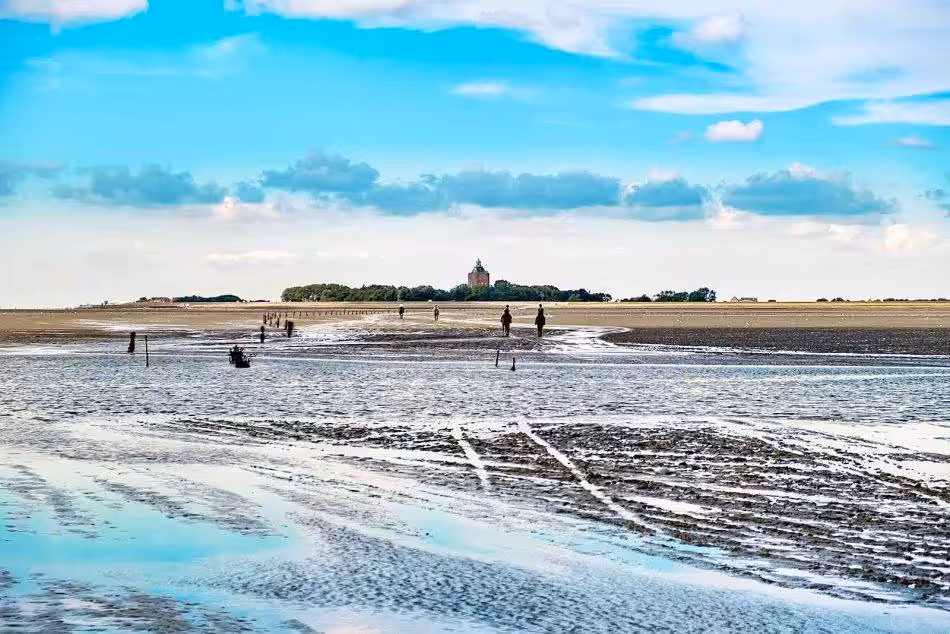 Riders Explore The Mudflats Off Neuwerk And Enjoy The Unique Landscape On Horseback.